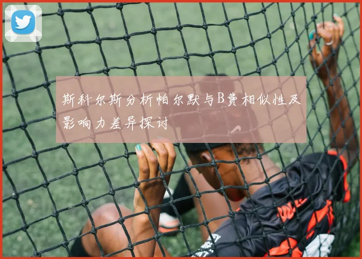 斯科尔斯分析帕尔默与B费相似性及影响力差异探讨